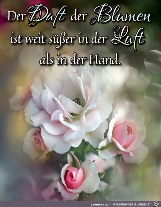 Der Duft der Blumen