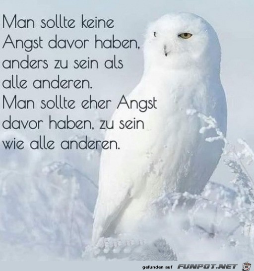 Anders sein