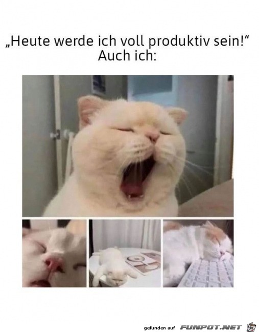 Voll produktiv