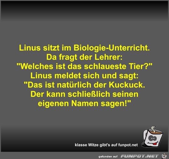 Linus sitzt im Biologie-Unterricht