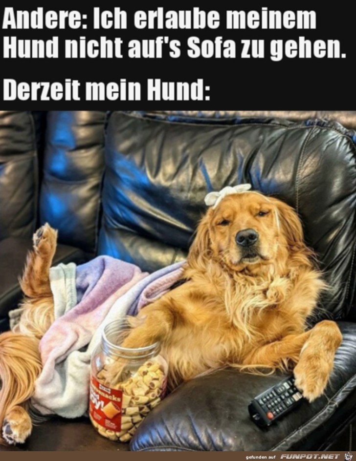 Mein Hund