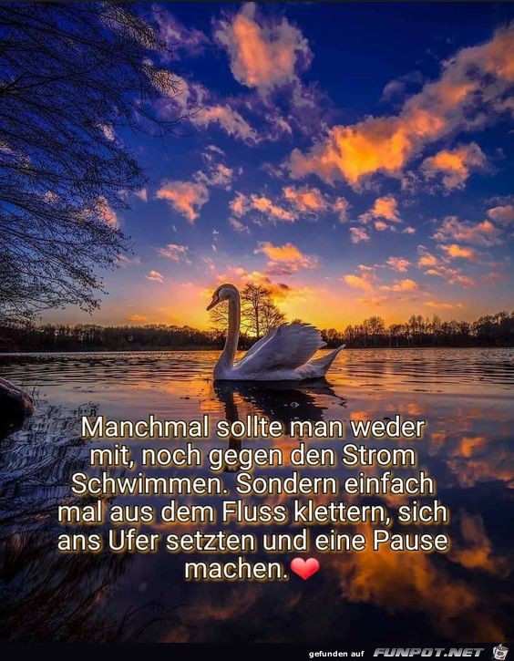 Manchmal sollte man