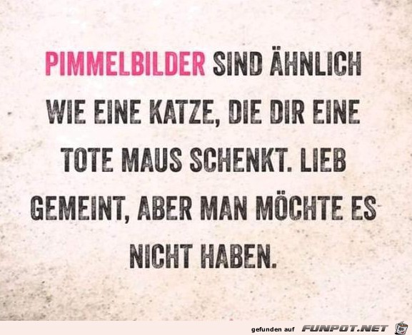 Pimmelbilder