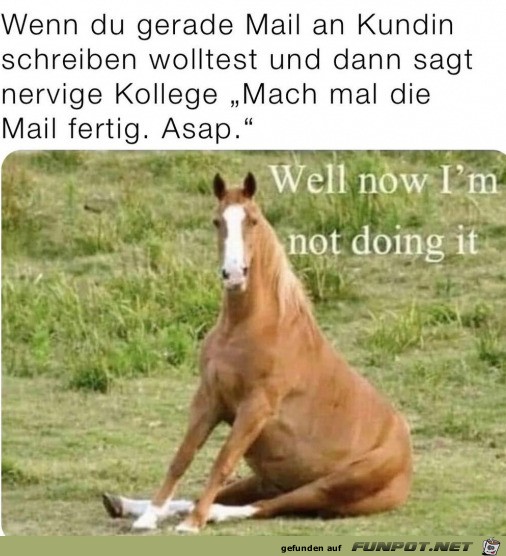 Jetzt mach ich es nicht