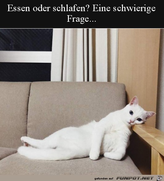 Schwere Entscheidung