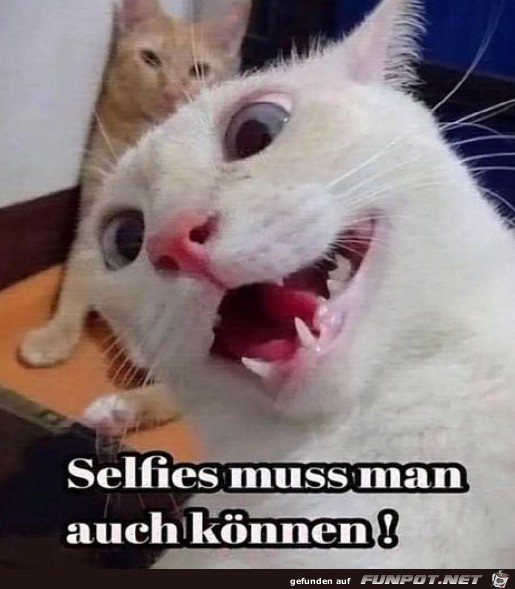 Selfie machen