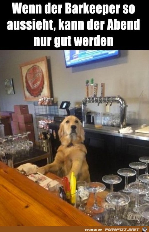 Barkeeper