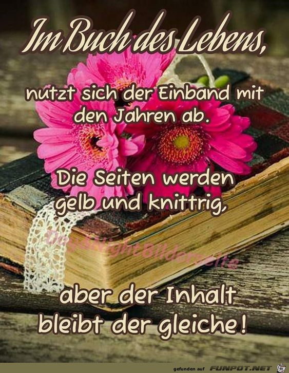 Im Buch des Lebens