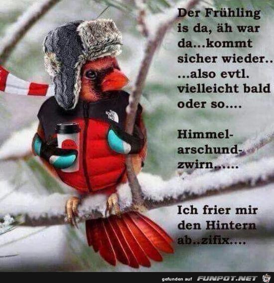 Der Frhling