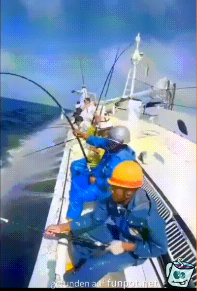 Thunfische fangen im Akkord