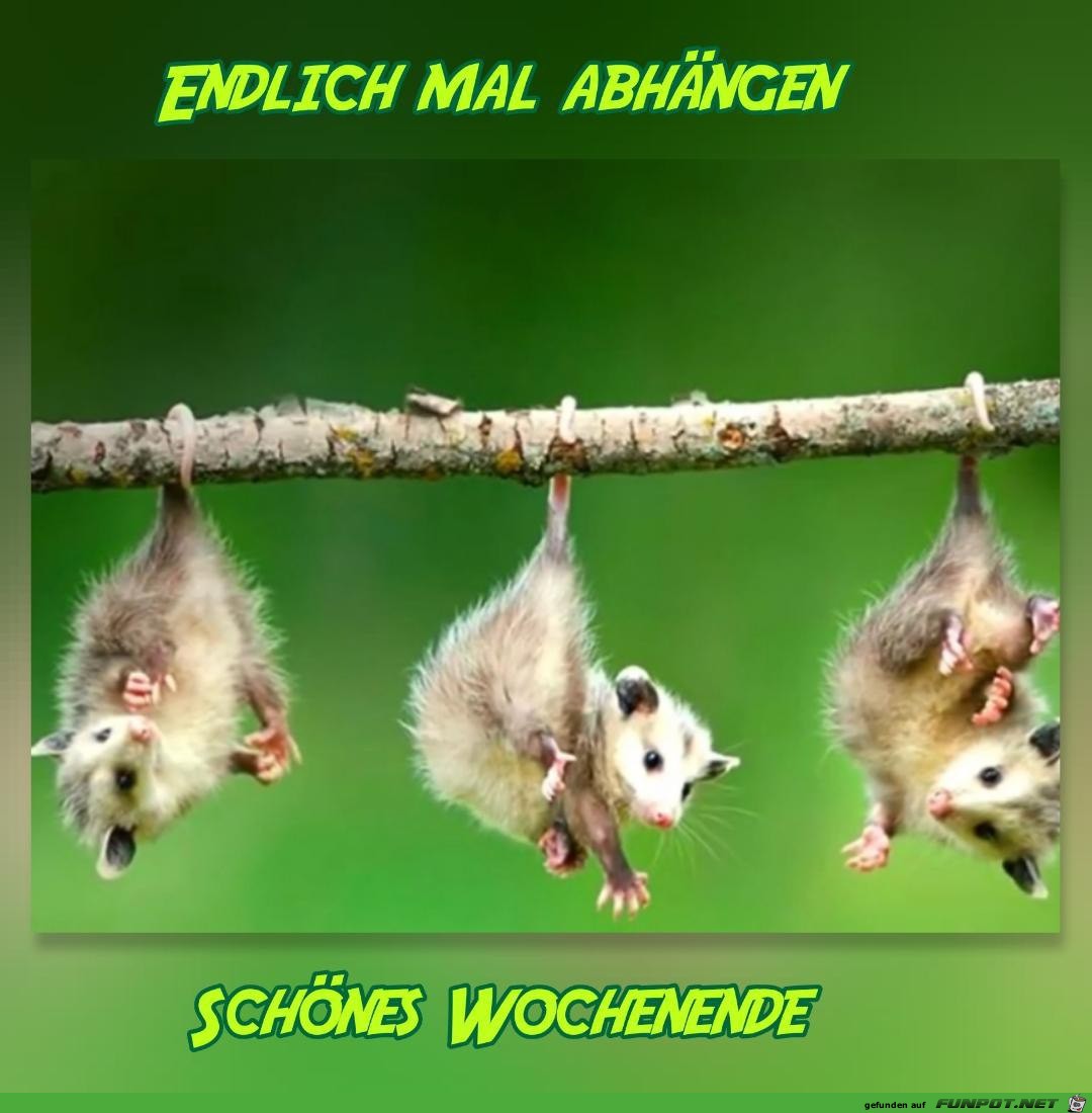 Schnes Wochenende