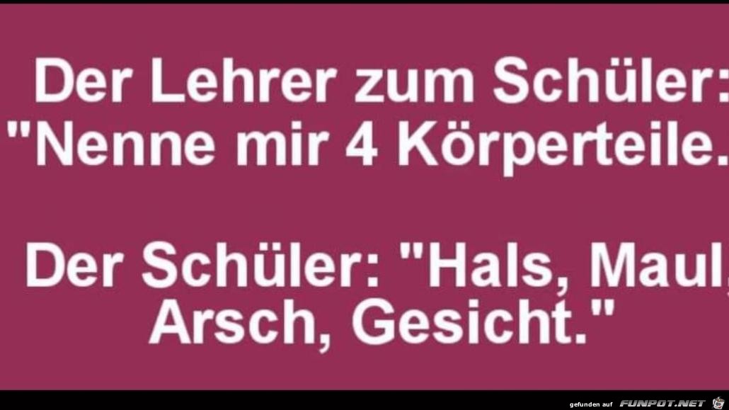 zum Schler