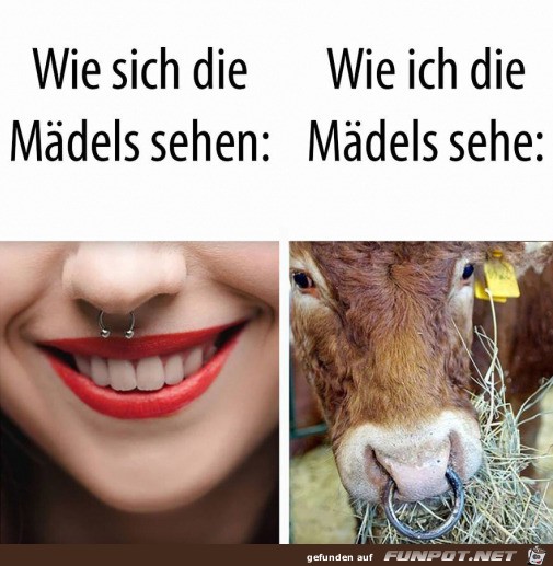 Genau so sieht das aus