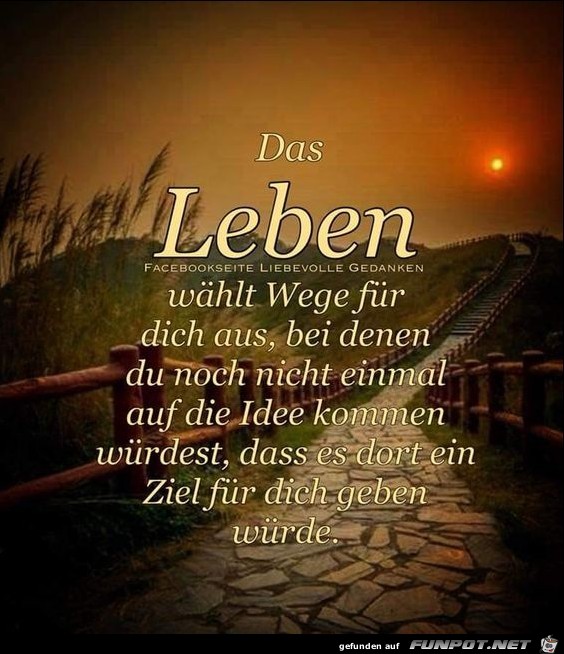 Das Leben whlt Wege fr dich aus