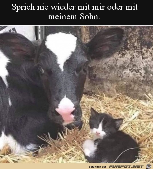 Ich und mein Sohn