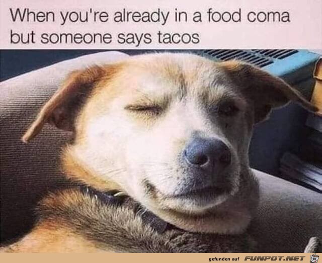 Hör ich Tacos?