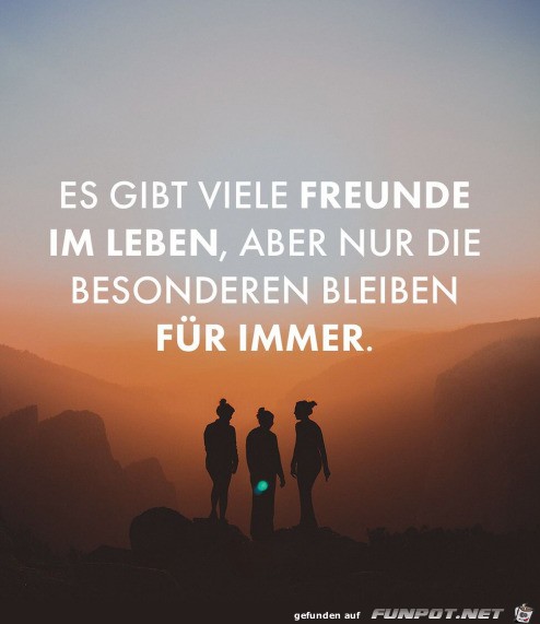 Freunde