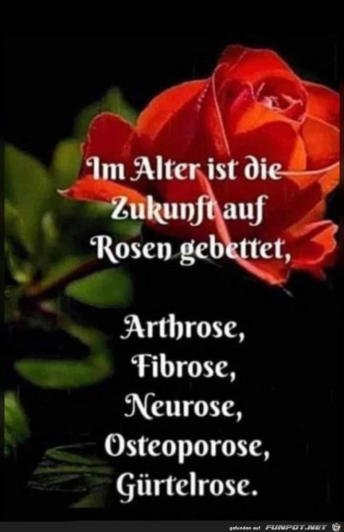 Im Alter