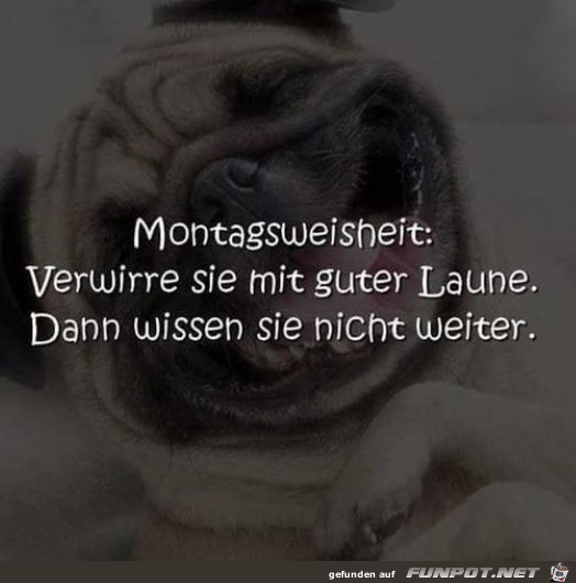 Verwirre sie mit guter Laune