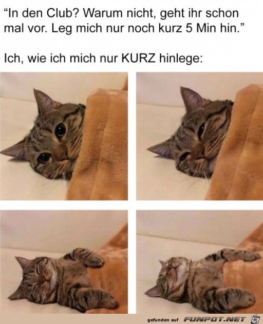 witzige Bilder aus verschiedenen Blogs