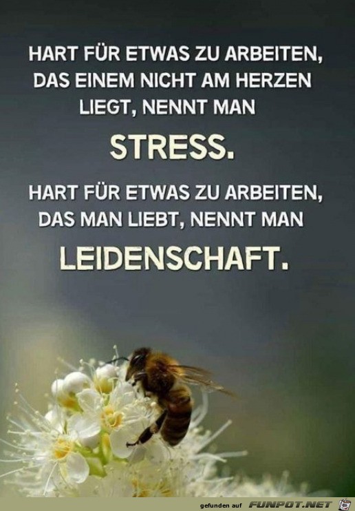 Kein Stress