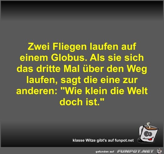 Zwei Fliegen laufen auf einem Globus