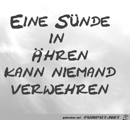 Eine Snde in hren