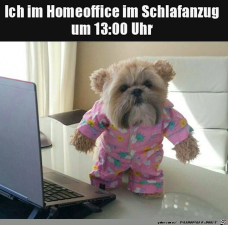 Ich im Home Office