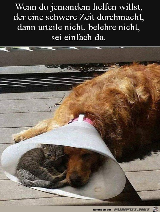 Sei einfach da Sei einfach da