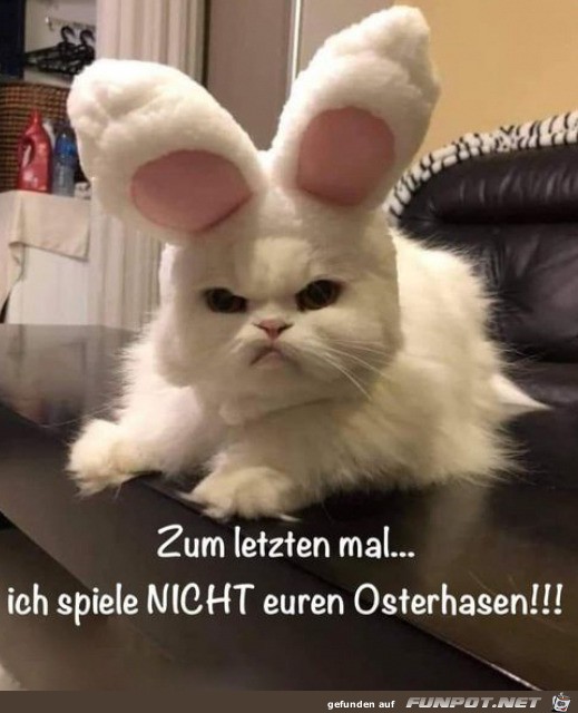 Ich mache nicht den Osterhasen