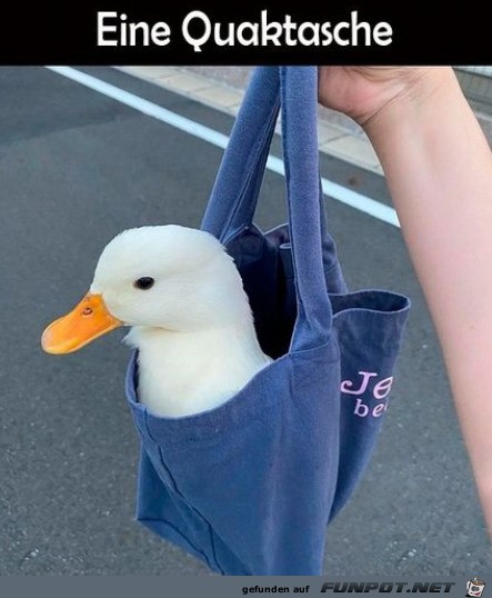 Eine Quaktasche Eine Quaktasche