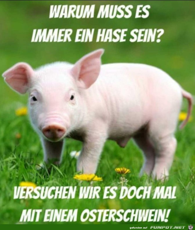 Osterschwein