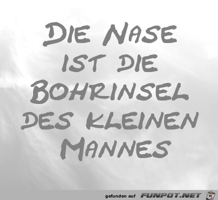 Die Nase ist die Bohrinsel des kleinen Mannes