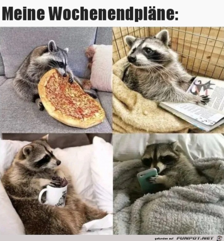 Mein Wochenendplan