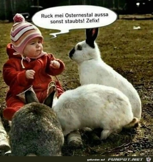 Gib mein Osternest her