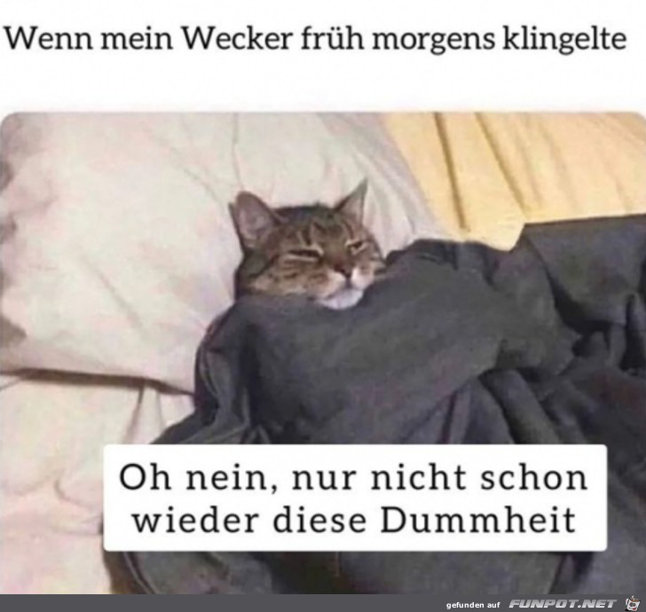 Ich stehe nicht auf