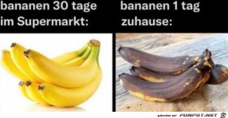 Typisch Bananen