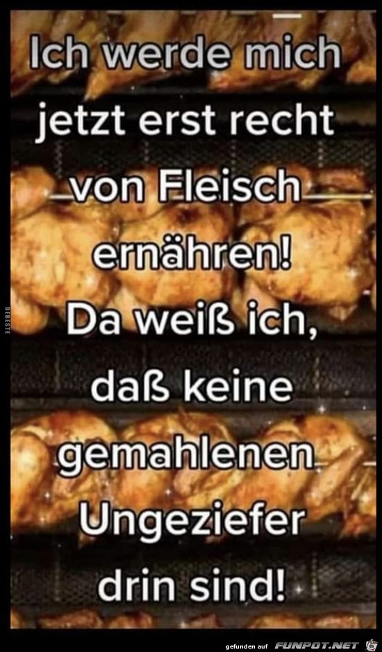 Fleisch