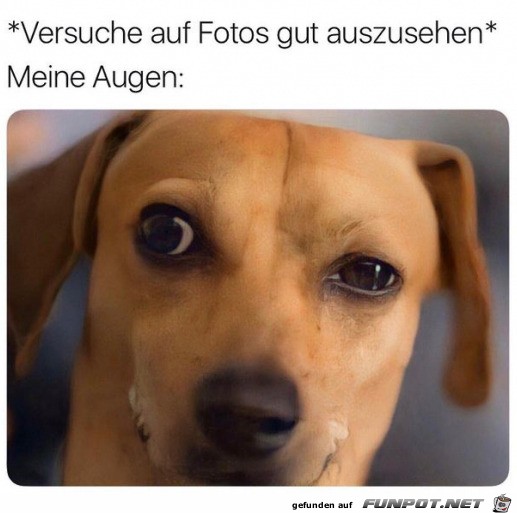 Meine Augen auf Fotos