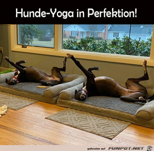 Perfektes Yoga