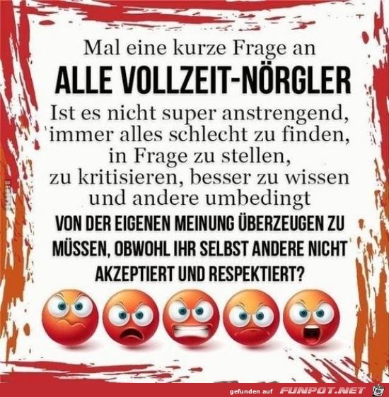 Vollzeit-Nrgler