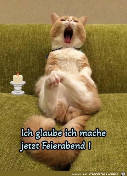 Schluss jetzt Schluss jetzt