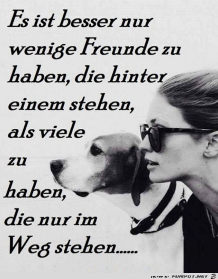 Wenige Freunde