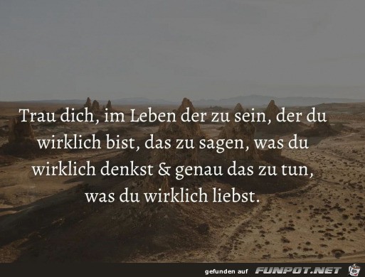 Trau dich Trau dich