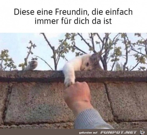 diese eine Freundin