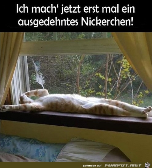 Erst mal ein Nickerchen machen