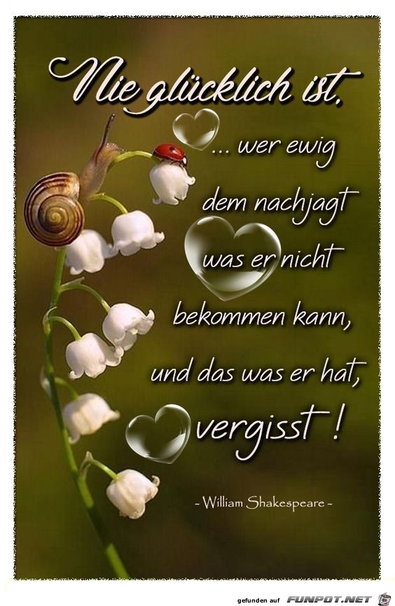 Nie glücklich ist Nie glücklich ist