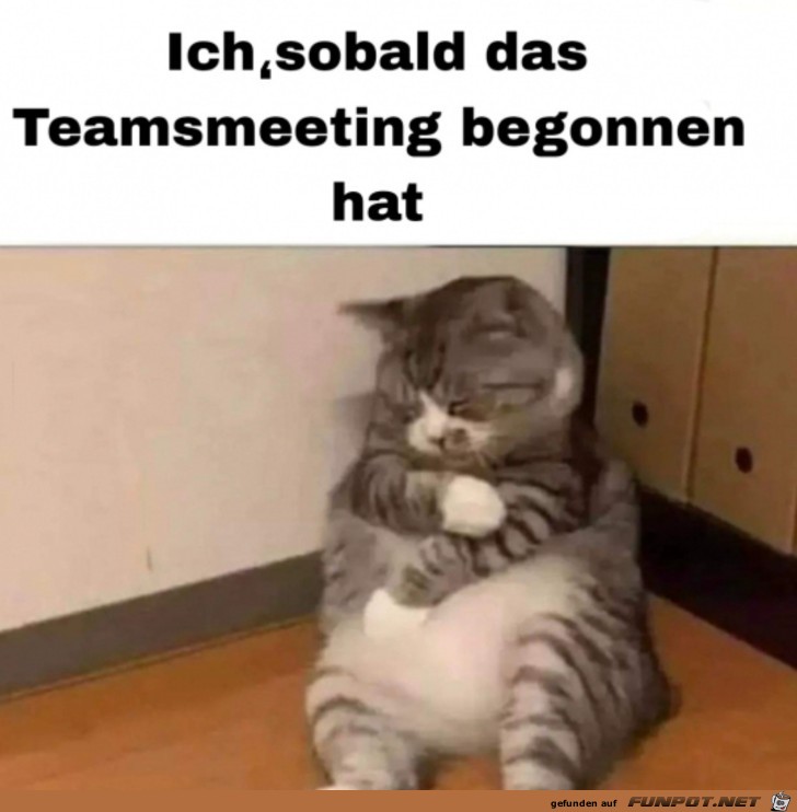 Nach Beginn des Teams-Meetings