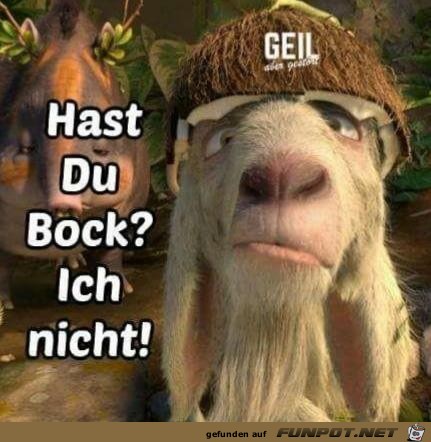 Hast du Bock