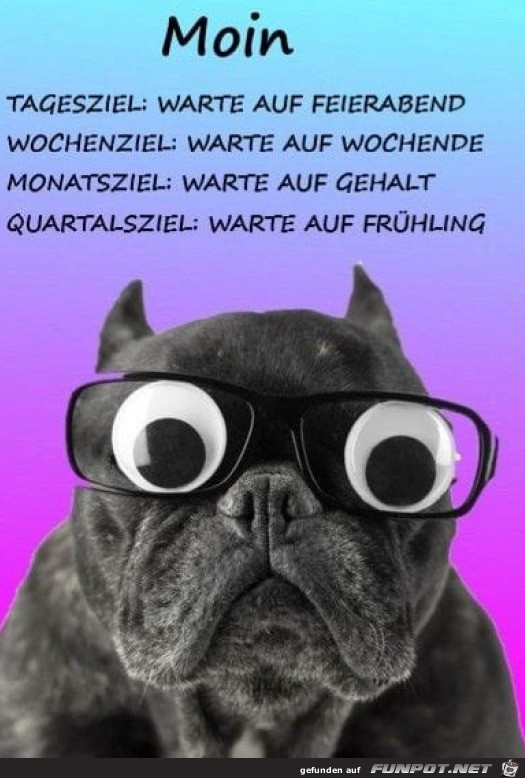 Meine Ziele